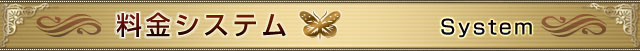 「System Title」