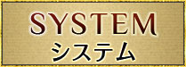 「system」